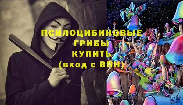 гидра Баксан