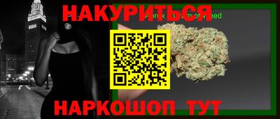 индика Будённовск