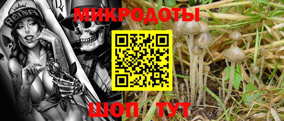 Баксан  Галлюциногенные грибы прущие грибы  Псилоцибиновые грибы мухоморы  продажа наркотиков  Вход с VPN 