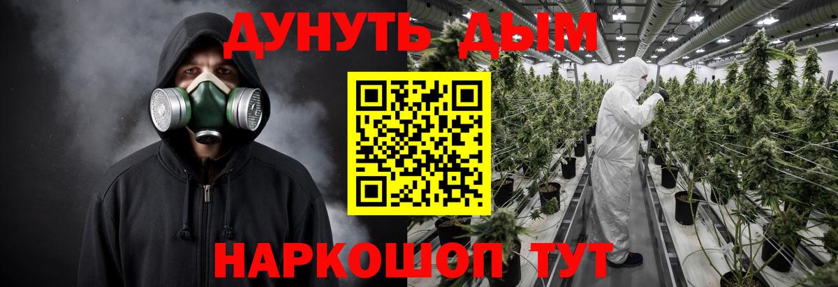 Шишки марихуана конопля Баксан
